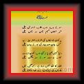 Naat Wasim Mumtaz 01 * 22.03.2008 * 370 x 614 * (35KB)